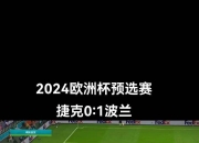 华体会娱乐-捷克挑落丹麦晋级欧洲杯半决赛