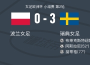 华体会电竞-瑞典横扫波兰晋级欧洲杯半决赛