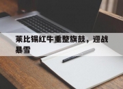 华体会官网登录网址-莱比锡红牛重整旗鼓，迎战暴雪