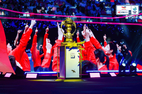 比赛中球队海外荣获多项体育殊荣