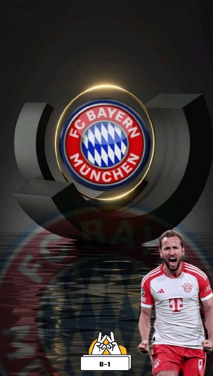 美因茨战胜对手，保持不败战绩