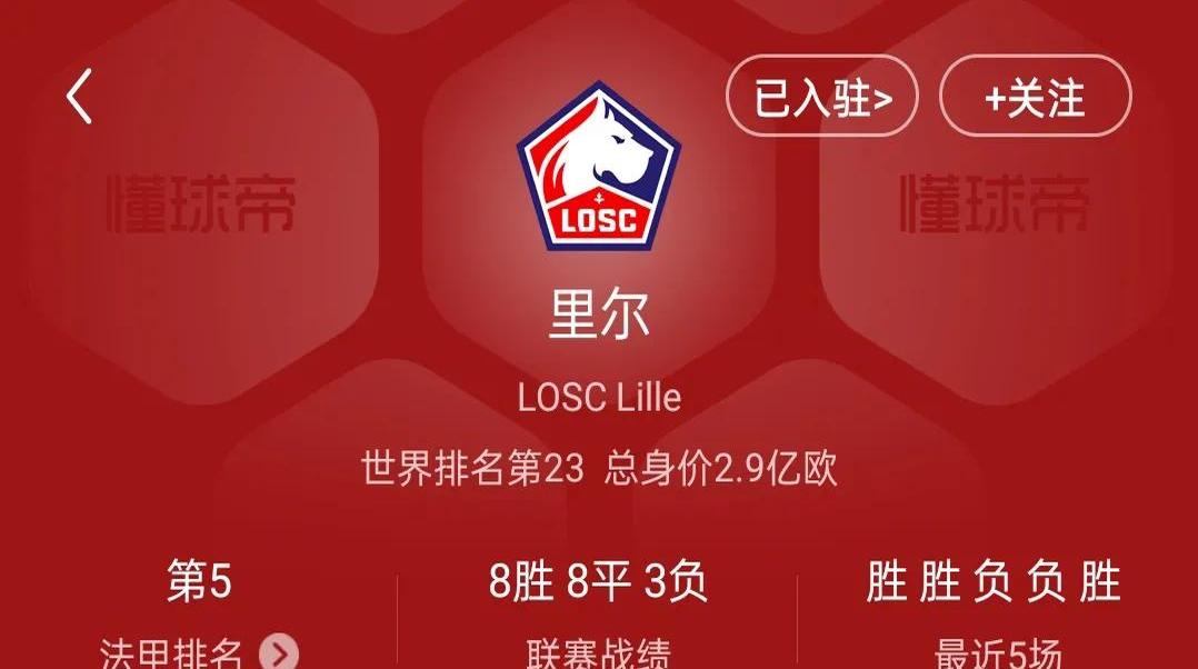 里尔球员意外受伤，球队备战计划受阻的简单介绍